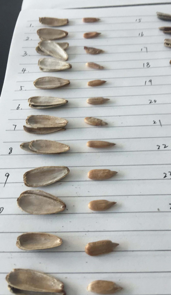 曬幸福遭室友整蠱