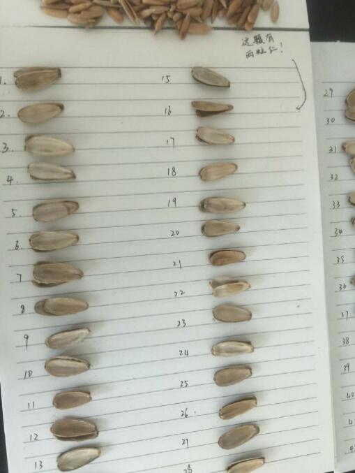 曬幸福遭室友整蠱