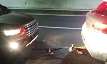 燃油耗盡脫褲救急 司機腦洞大開用褲子當(dāng)牽引繩