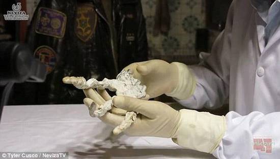 秘魯發現神秘大爪