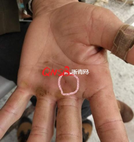 男子踏青遇70cm長蛇