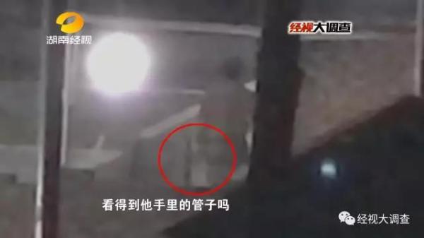 商販給生豬灌泥漿