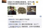 曬幸福遭室友整蠱 一個(gè)很無聊的室友