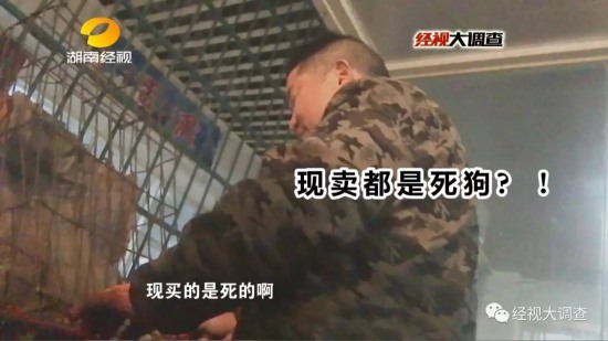 湖南查獲毒狗肉