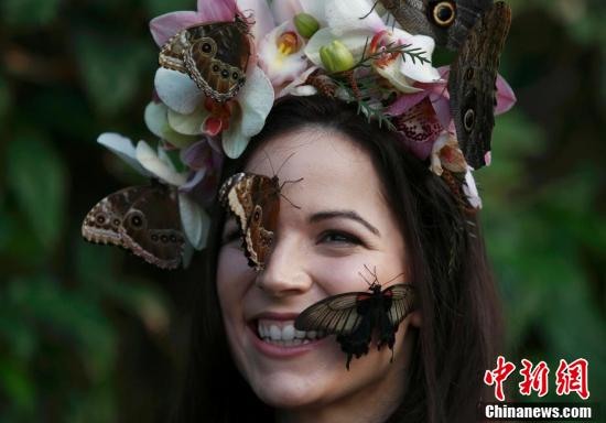 美女戴花環引蝴蝶