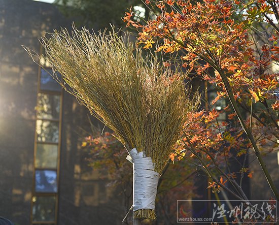 溫州永嘉掃帚廠