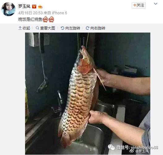 羅玉鳳曬晚飯照