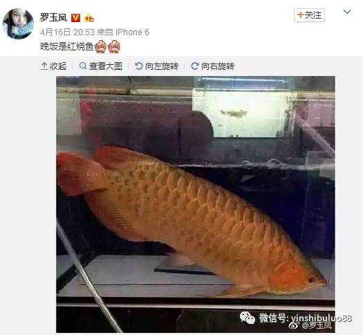 羅玉鳳曬晚飯照