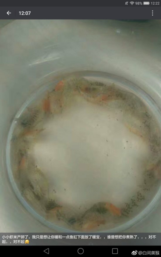 怕蝦冷墊上暖寶寶