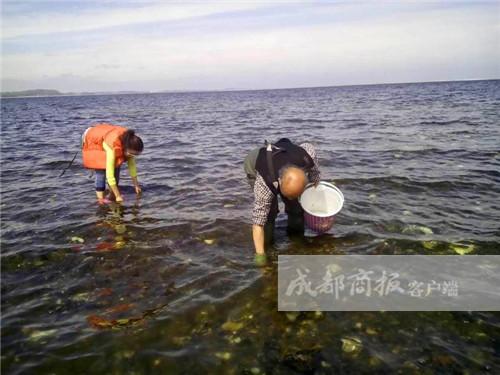 美女挖300斤生蠔