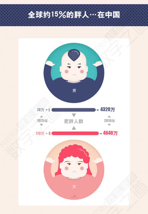 揭中國肥胖省份