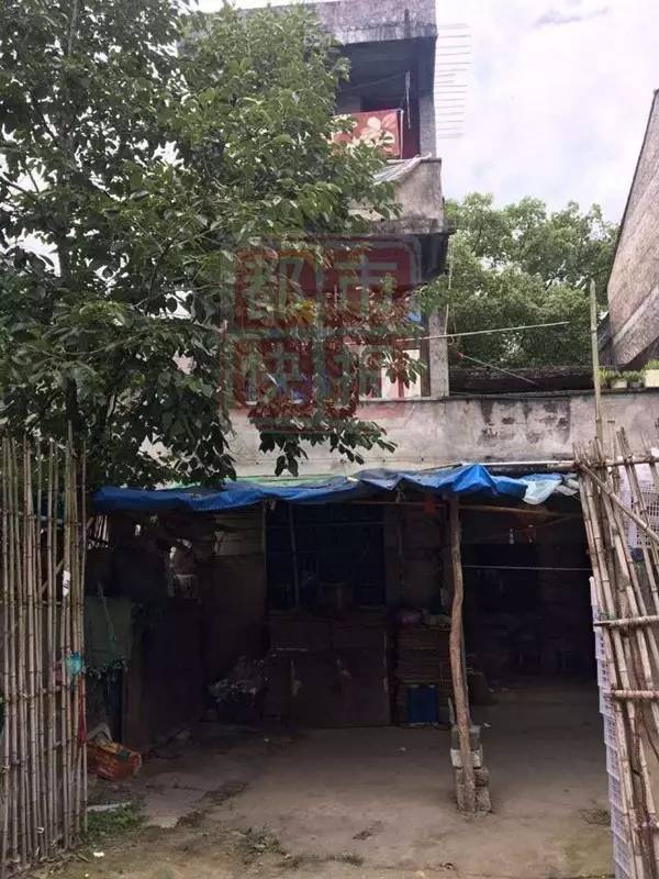 永嘉殺人案 浙江永嘉縣楓林殺人案2人被殺嫌犯自殺