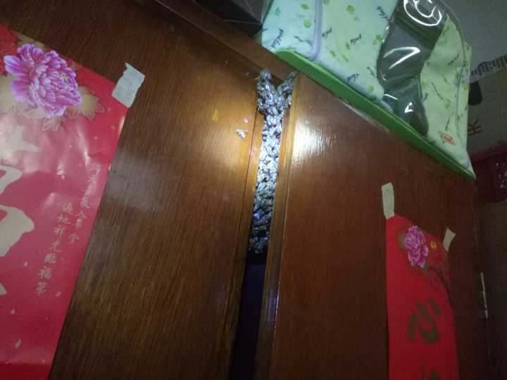 姑娘衣柜爬滿蜜蜂