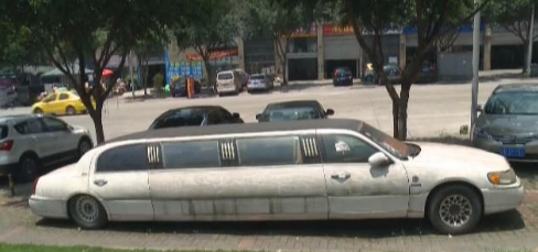 百萬豪車長出青苔