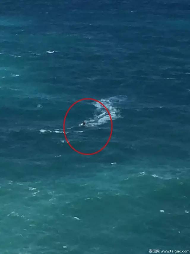 游客懸崖自拍跌落大海溺亡