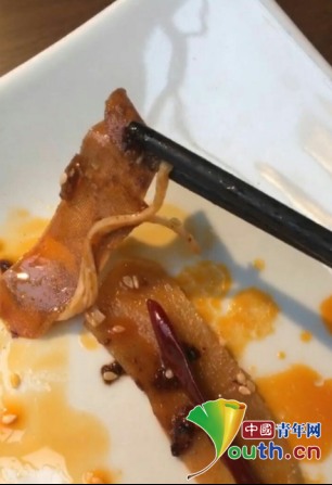 吃火鍋吃出創可貼