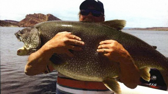 男子釣1.2米大魚后放生