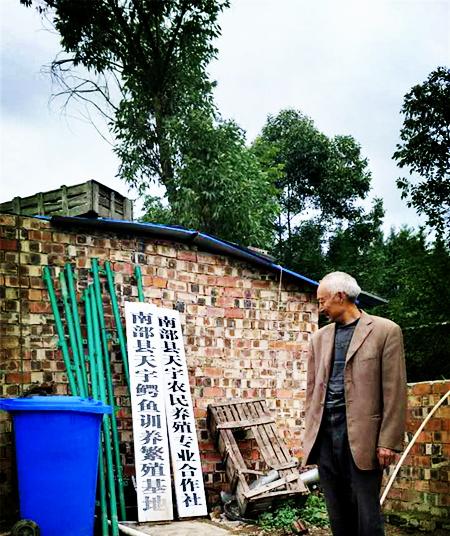 四川78條鱷魚出逃