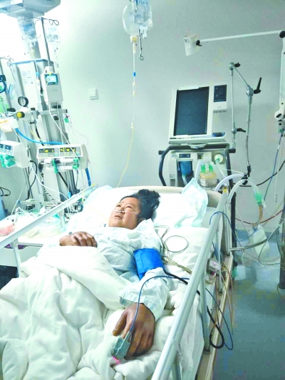 農(nóng)婦遭馬蜂蜇垂危