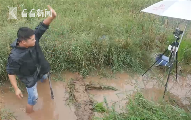 網紅農民直播鄉村