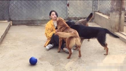 張馨予訓狗慘被咬