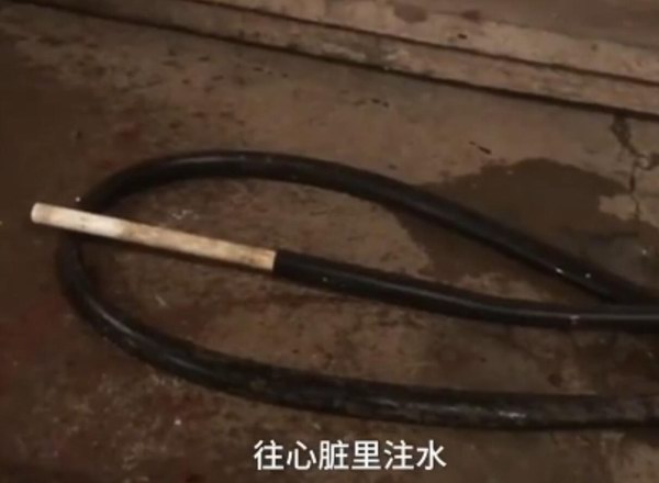 一頭牛注水60斤