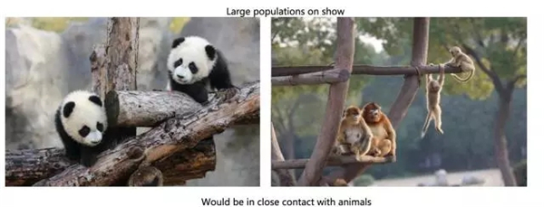 動物園現奇葩翻譯