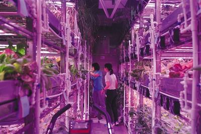 在月宮生活200天