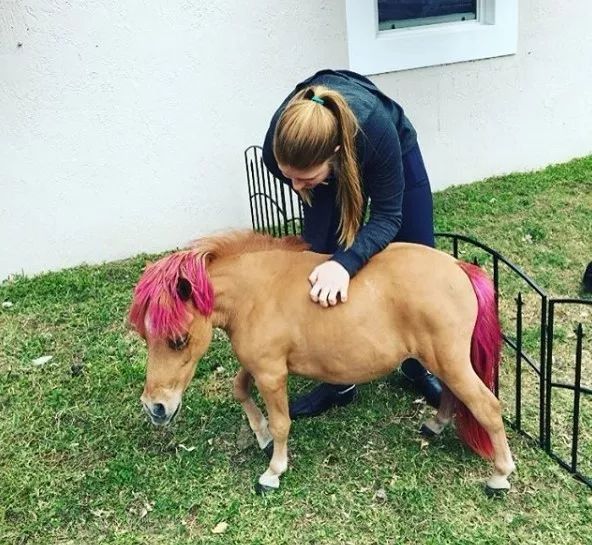 第一白富美戀愛