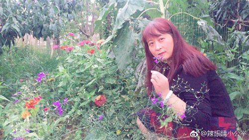 阿姨7條絲巾照相