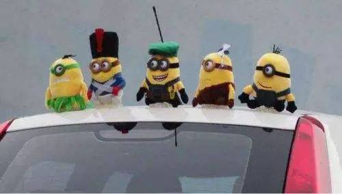 玩偶放車頂將被罰