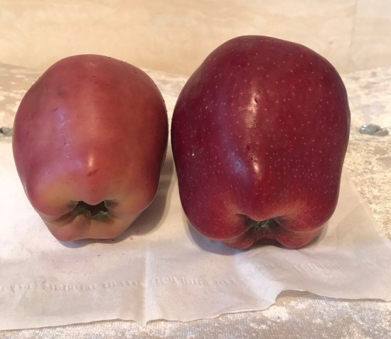 熱水泡蘋果冒血珠