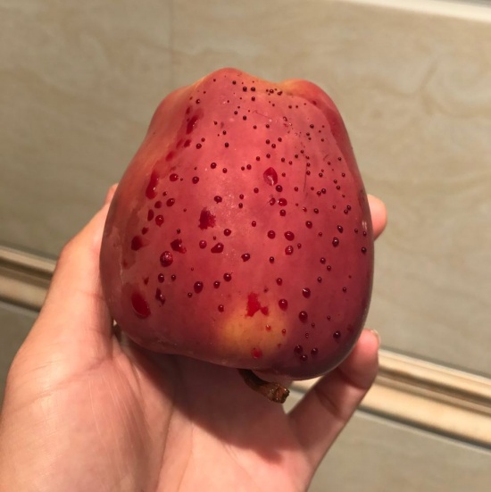 熱水泡蘋果冒血珠