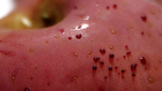 熱水泡蘋果冒血珠