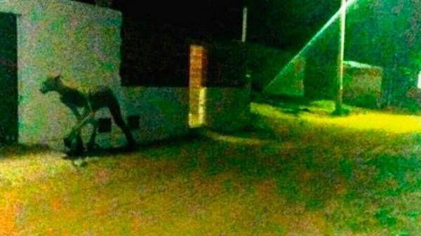 阿根廷現半人半獸