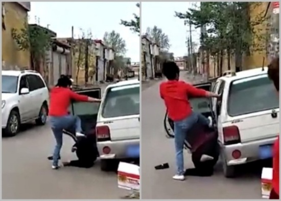 女子當街腳踹養(yǎng)母