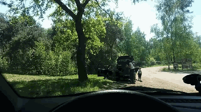 獵豹圍攻下車游客