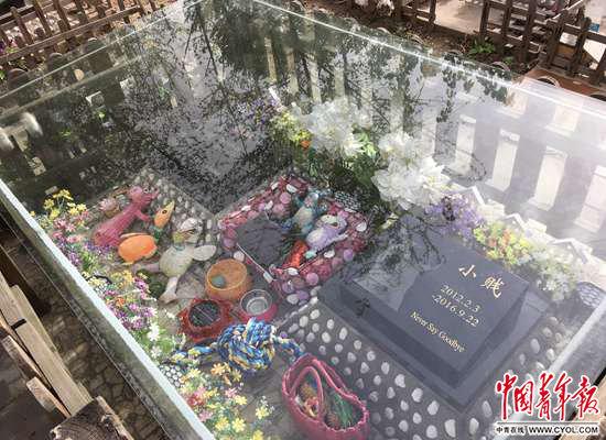 點(diǎn)擊進(jìn)入下一頁(yè)