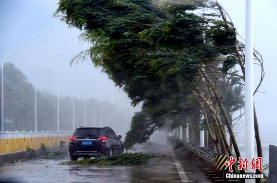 瑪莉亞臺風災情