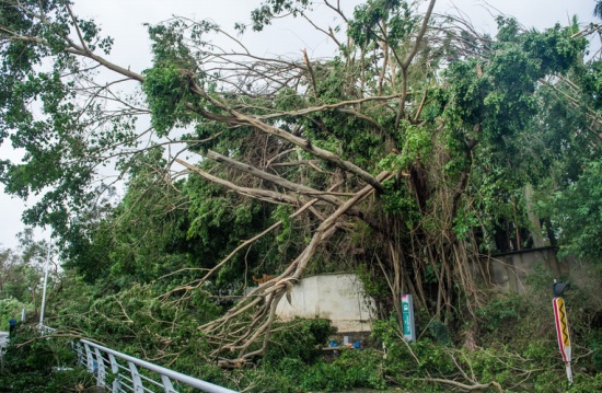 第22號(hào)臺(tái)風(fēng)山竹對(duì)深圳的影響