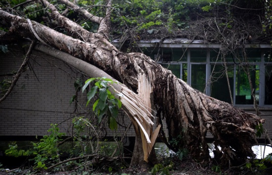 第22號(hào)臺(tái)風(fēng)山竹對(duì)深圳的影響