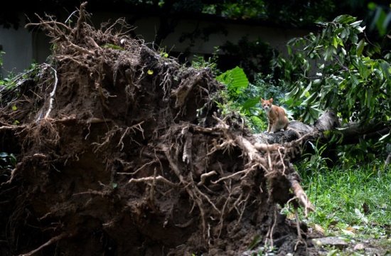 第22號(hào)臺(tái)風(fēng)山竹對(duì)深圳的影響