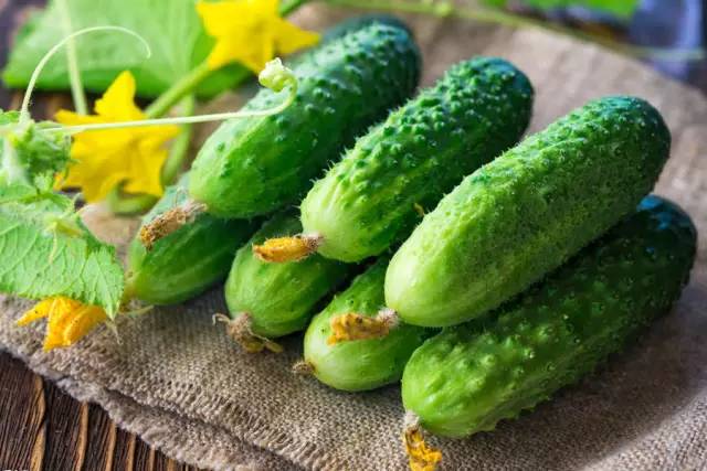 澳黃瓜暗藏金屬條