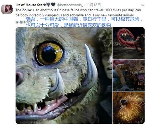 上古神獸圈粉無數(shù) 神奇動物2上古神獸騶吾