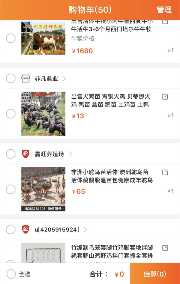 雙11購(gòu)物最荒謬冠軍誕生!男生喝醉后買孔雀娃娃魚