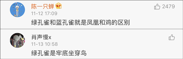 雙11購(gòu)物最荒謬冠軍誕生!男生喝醉后買孔雀娃娃魚