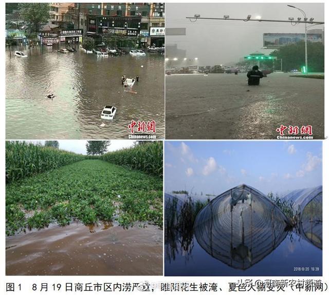 河南十大氣候事件