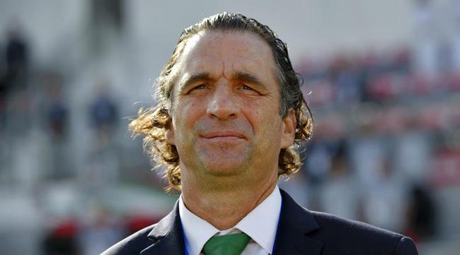 皮齊不再執(zhí)教沙特