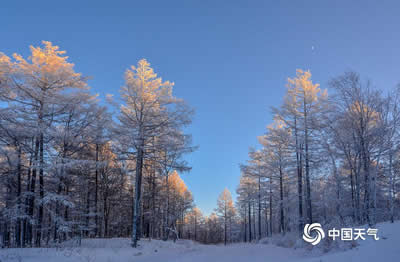 大興安嶺霧凇奇景美極了