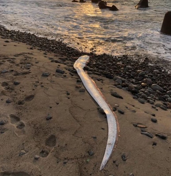 日民眾擔(dān)心地震